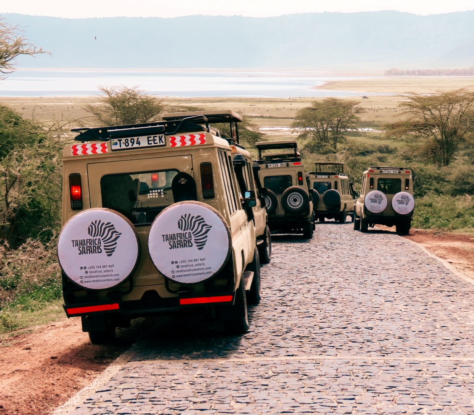 TanAfrica Safaris team — Tanzania-based private safari operator in Arusha