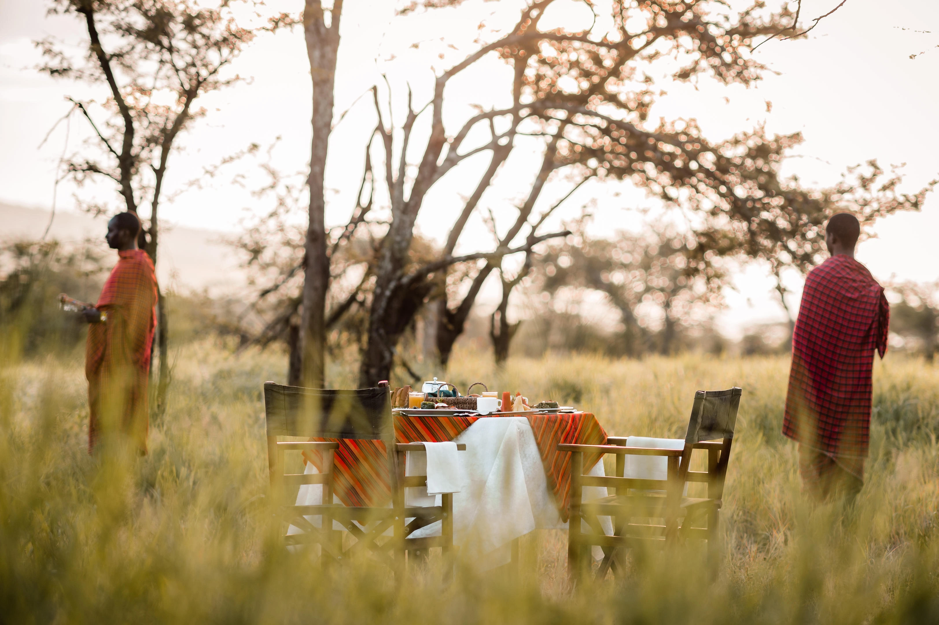 Northern Serengeti wildebeest migration near river corridors