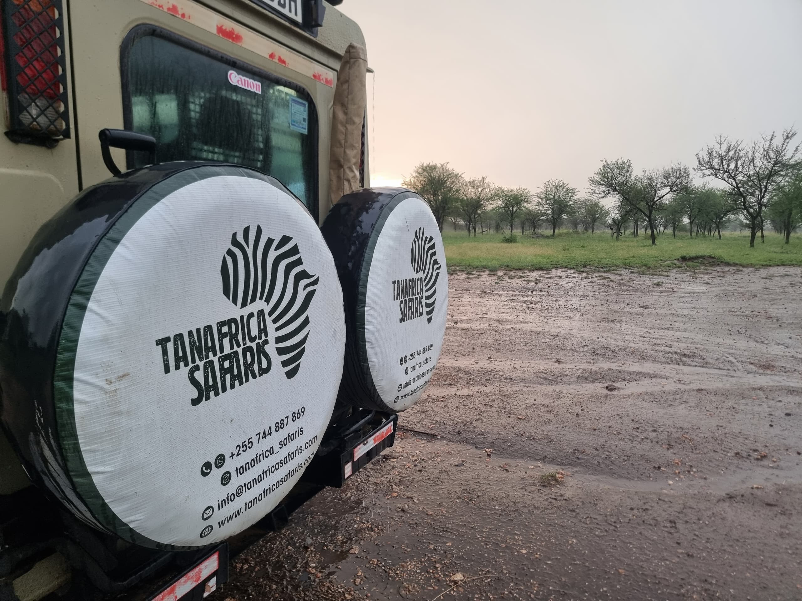 Travel to Tarangire National Park