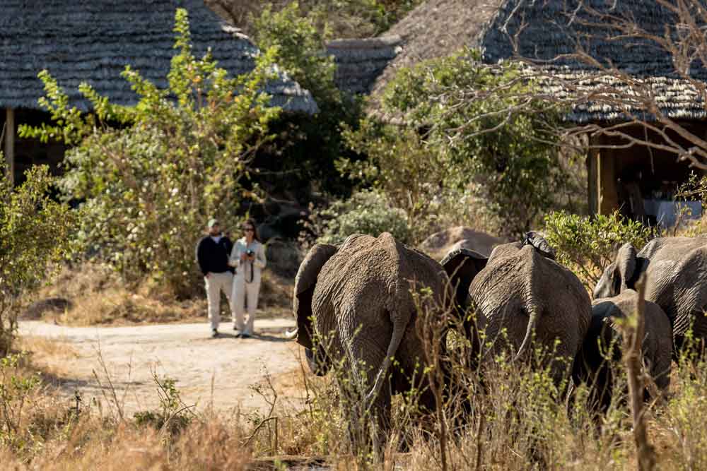 Lodging Options in Tarangire
